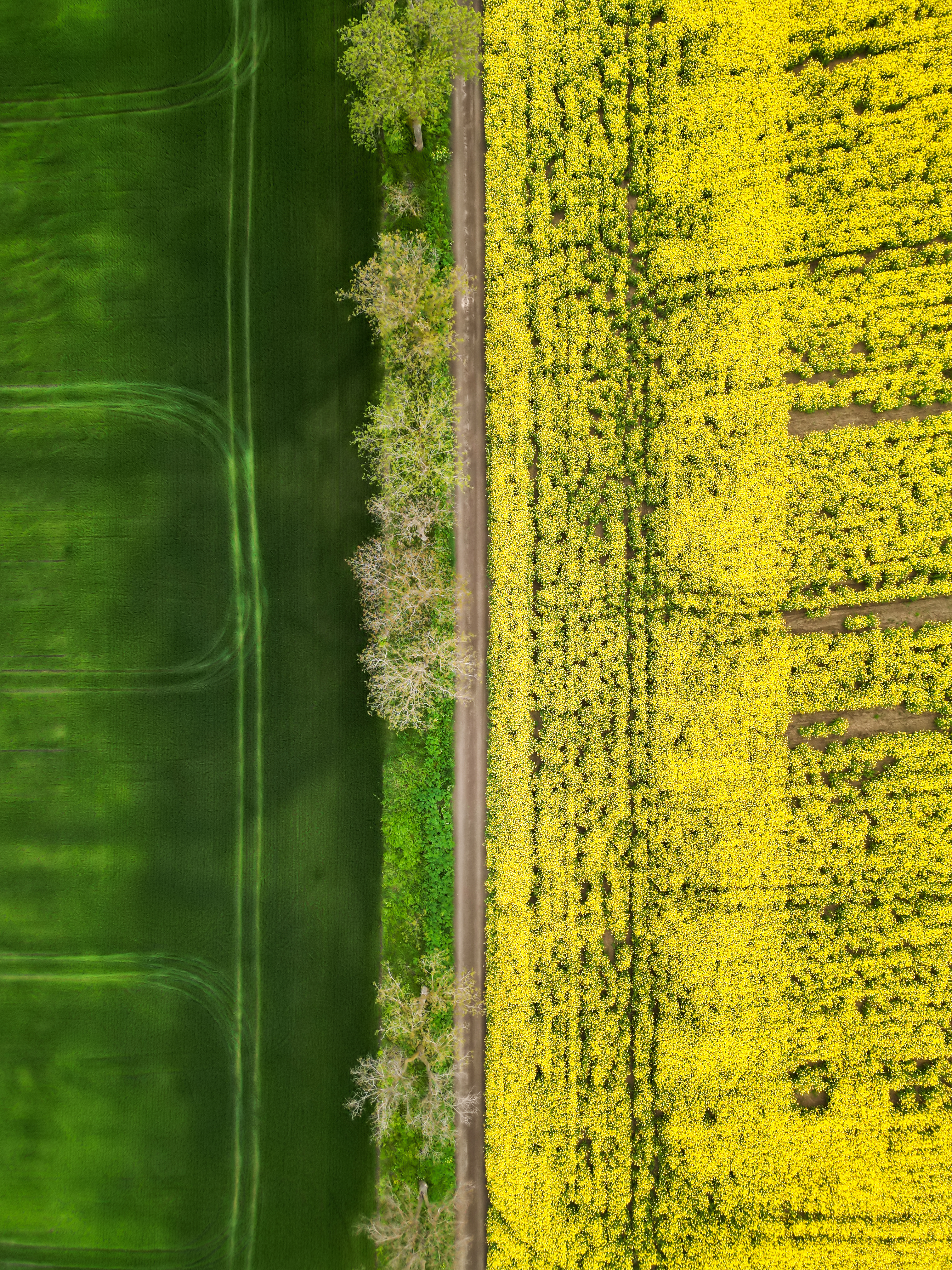 Farm Landscape