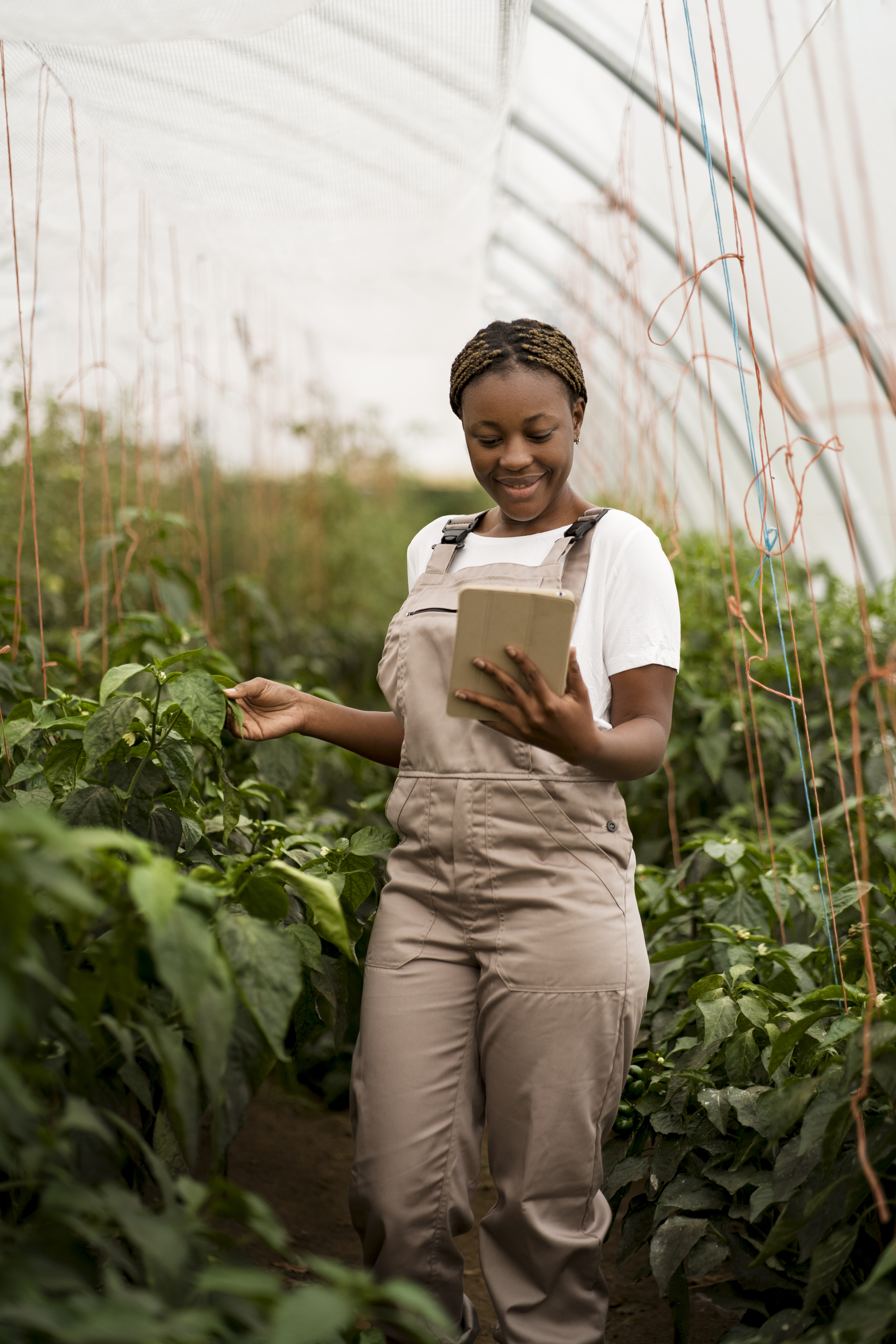 Girl with a Tablet in a farm